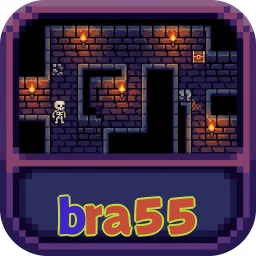 bra55
